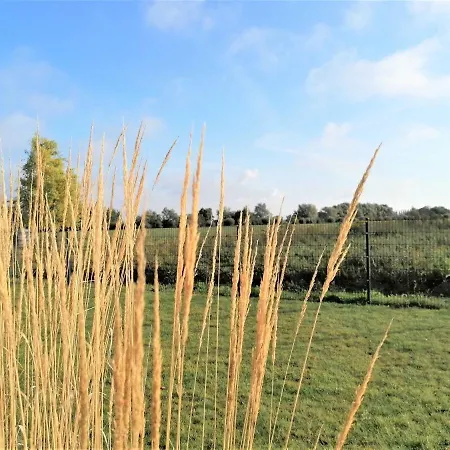Ferienhaus Wildrose 3 Kuehlungsbor Appartamento *
